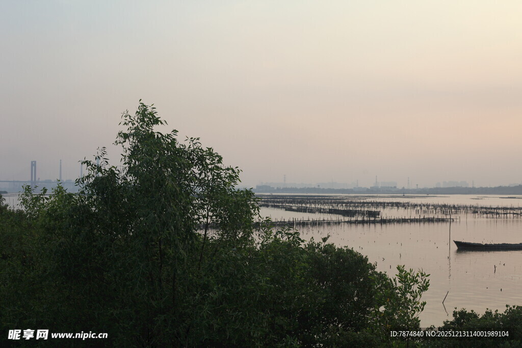 湖畔绿树映江景