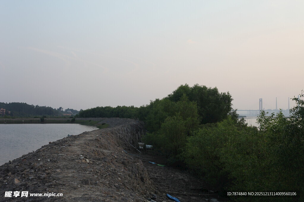 河畔绿植与碎石岸景