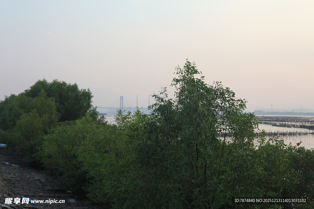 河畔绿树成荫的自然景致