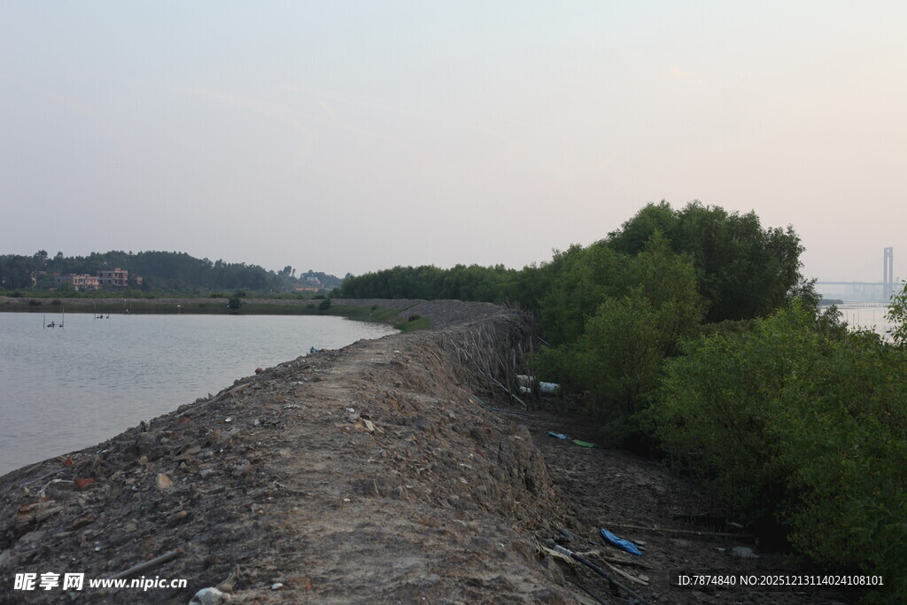 岸边绿植与水域