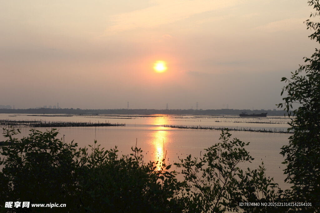 夕阳下的河畔美景