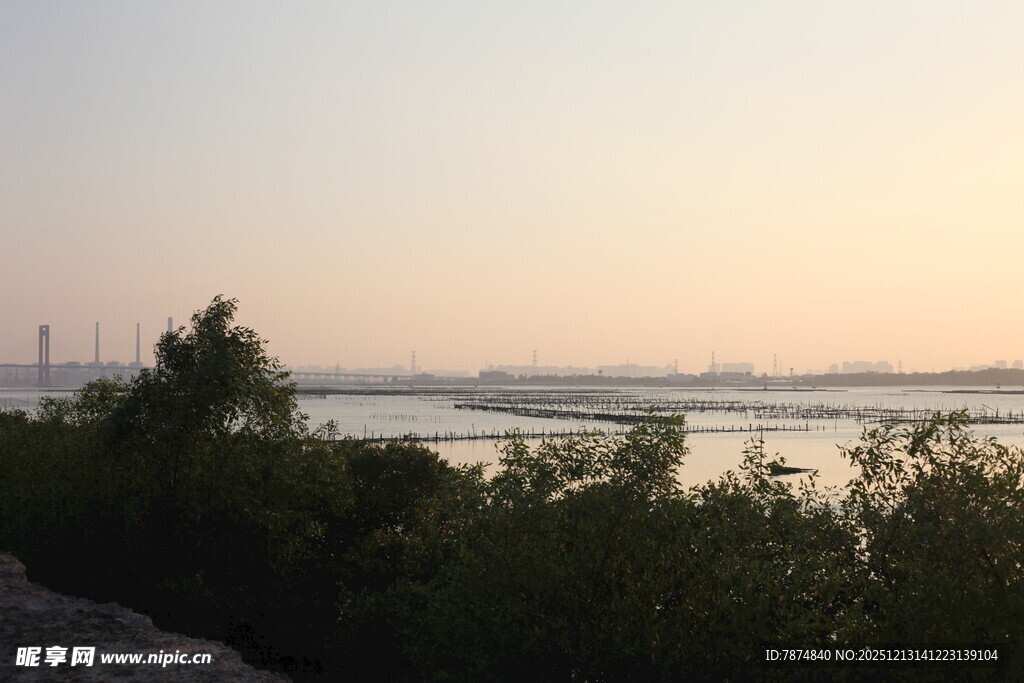 黄昏河畔绿植风景