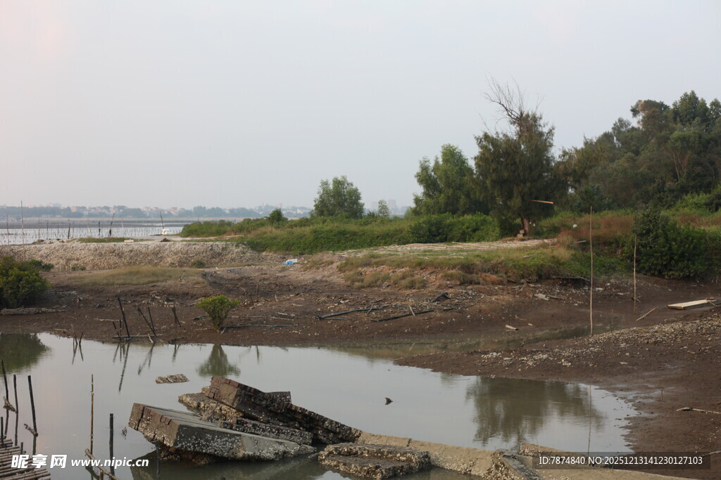 河岸泥滩边的破旧船只