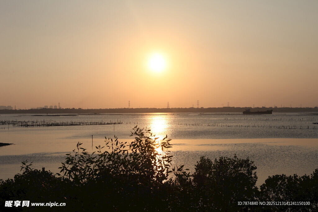 夕阳下的宁静水域景观