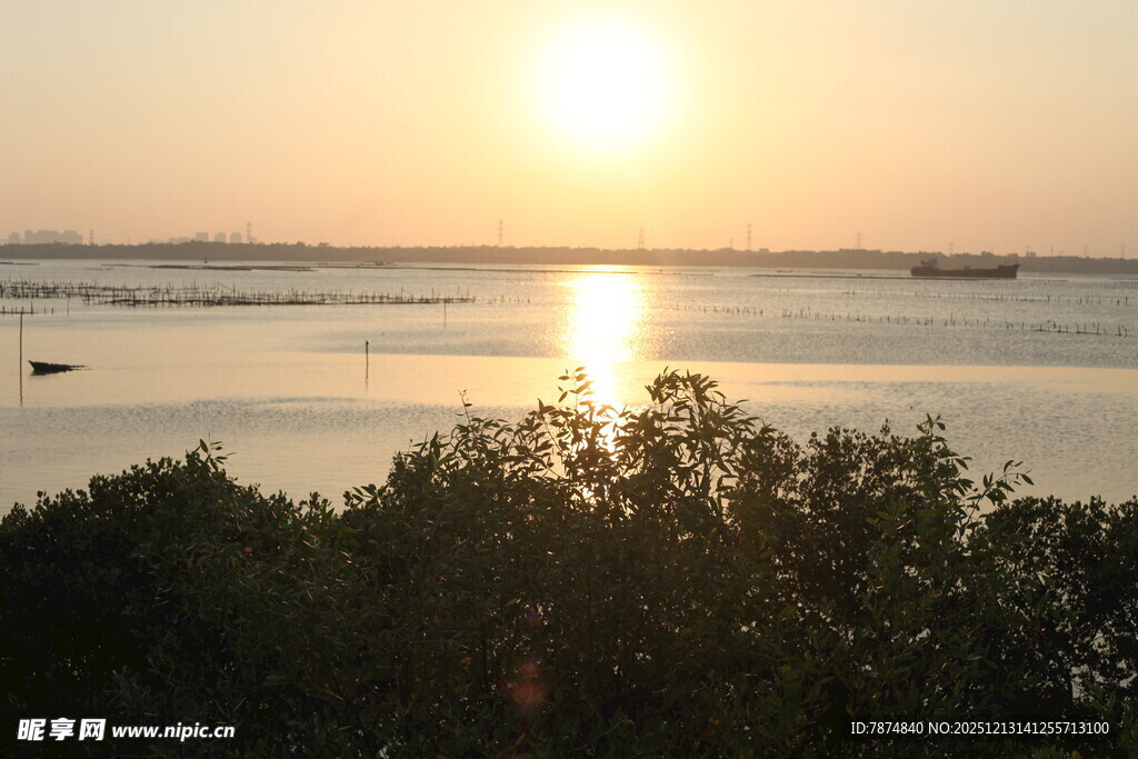 夕阳下的宁静水面与植被