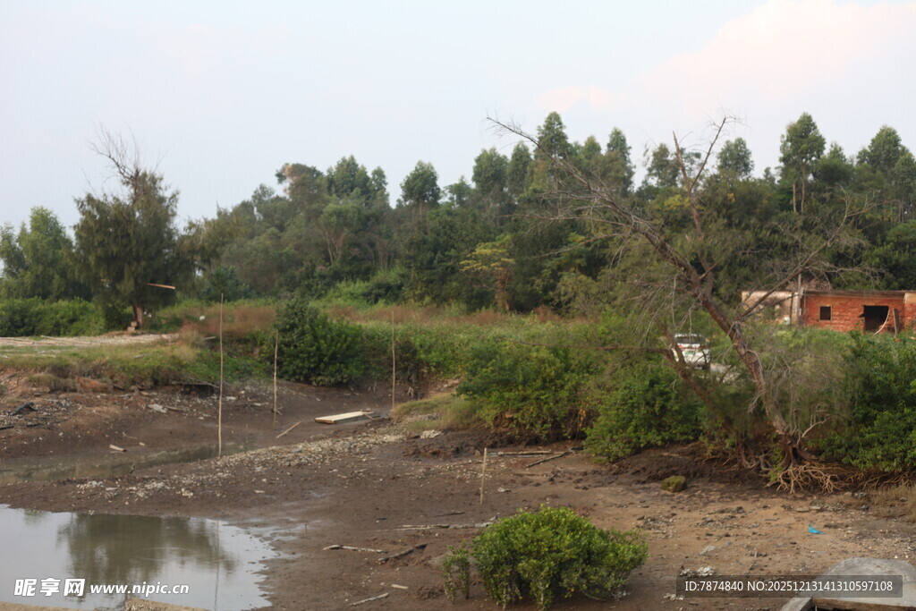 乡村湿地景观