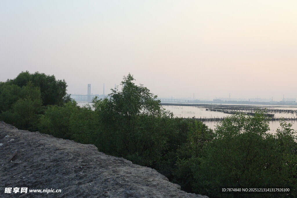 河畔绿植与开阔水域景观