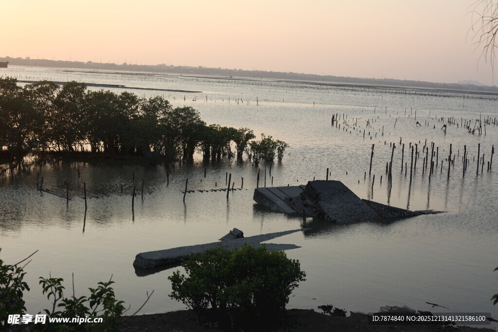 黄昏下的水边静谧景象