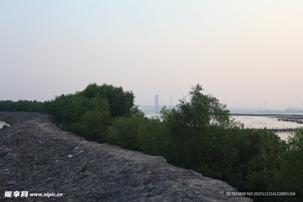 黄昏下的河岸碎石与绿树