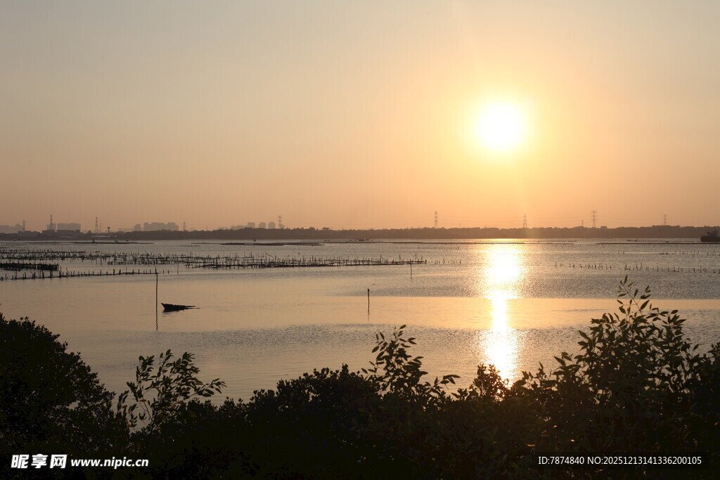 夕阳下的宁静水面与植被