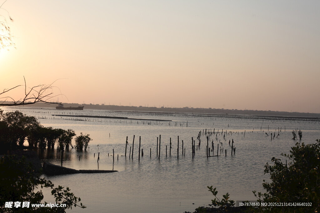 夕阳下的宁静水上风光