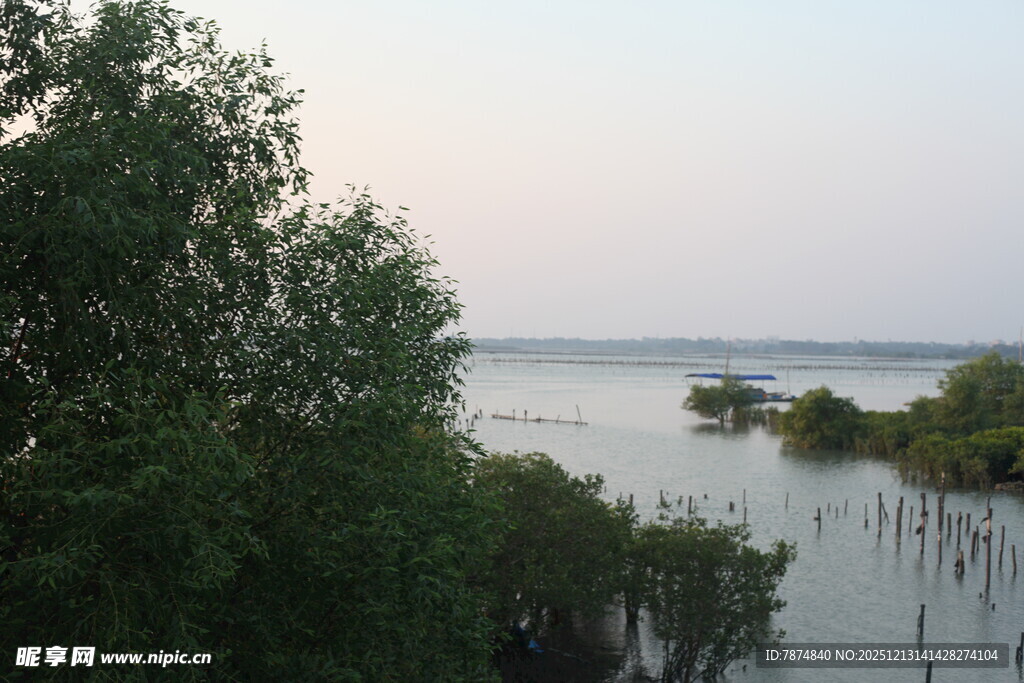 湖畔绿树环绕的宁静水域