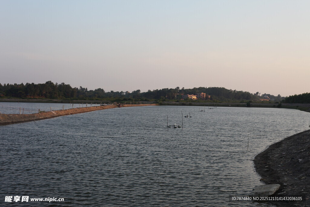 黄昏下的宁静河岸风光