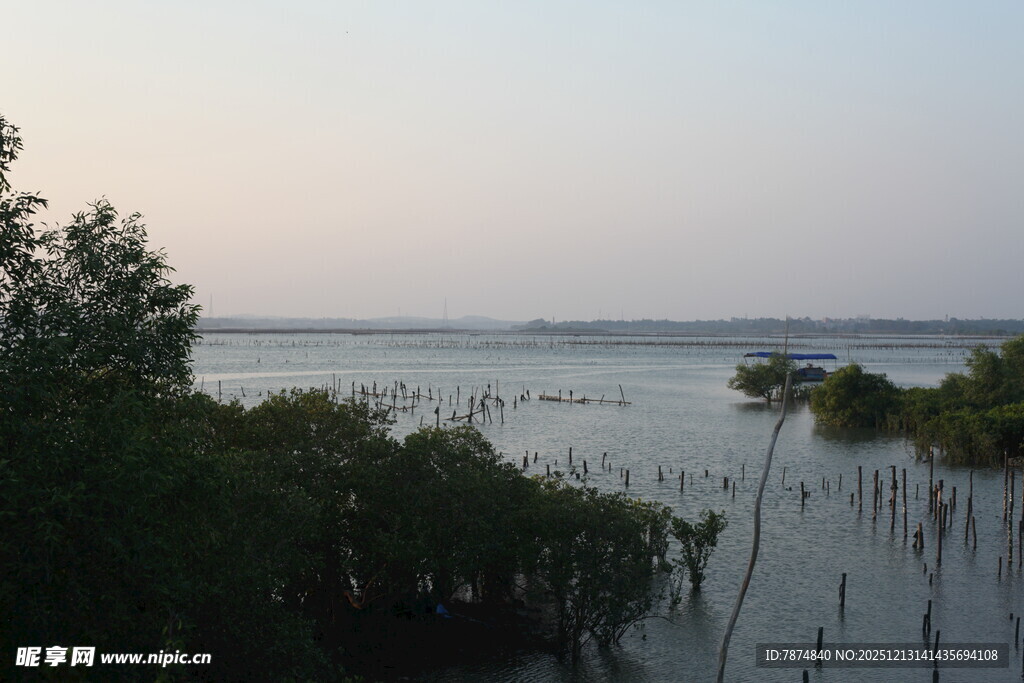 黄昏下的河畔湿地景观