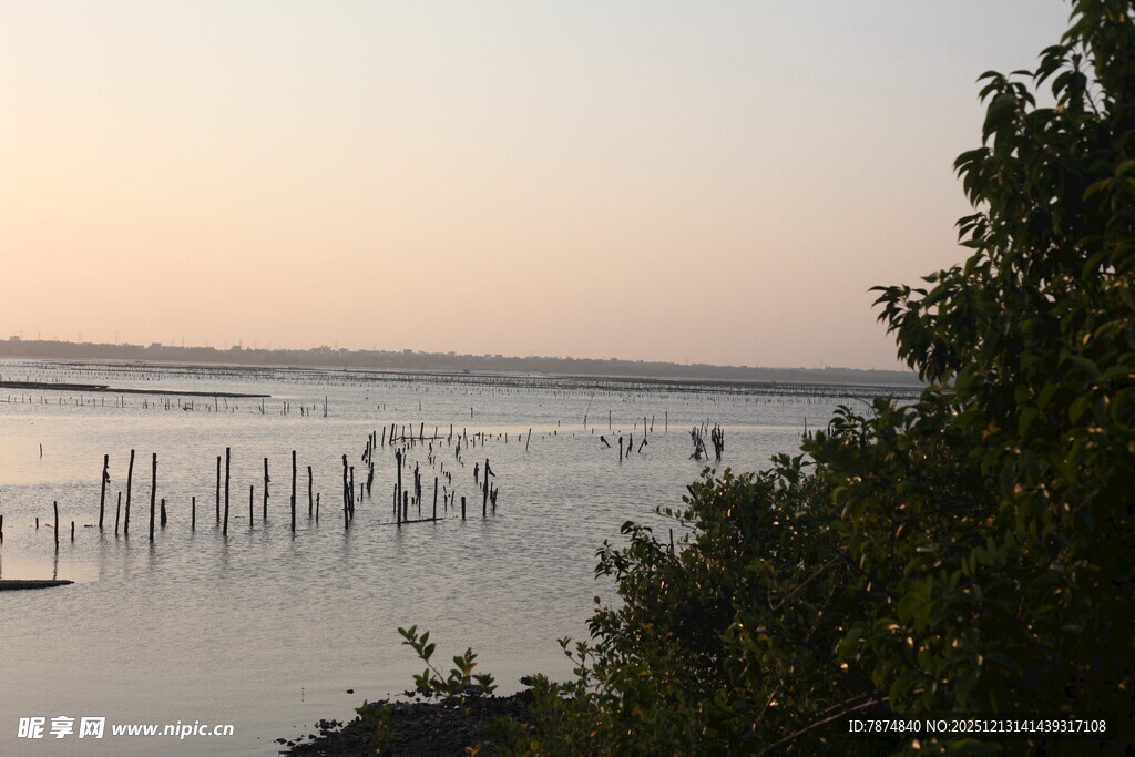 黄昏湖畔的水中木桩景观