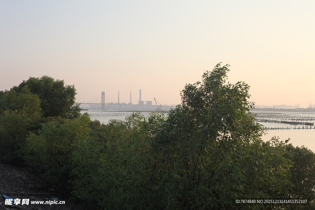 河畔绿树与远处城市景观