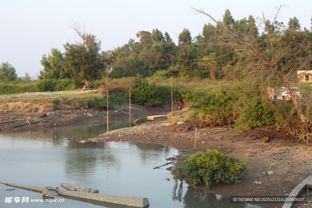 乡村河畔自然景致