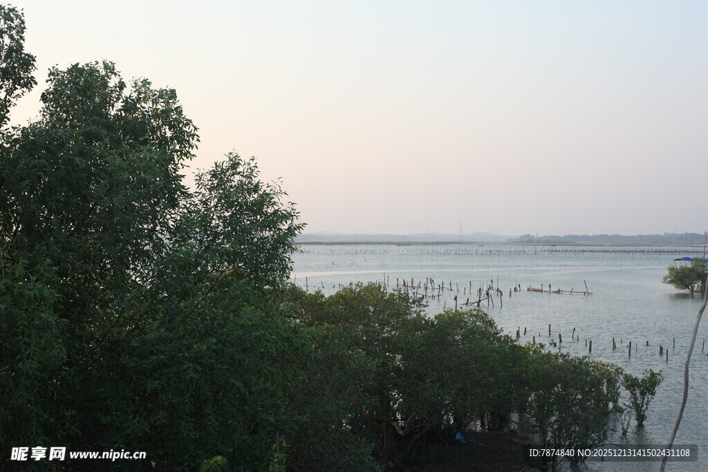 湖畔绿树映天际