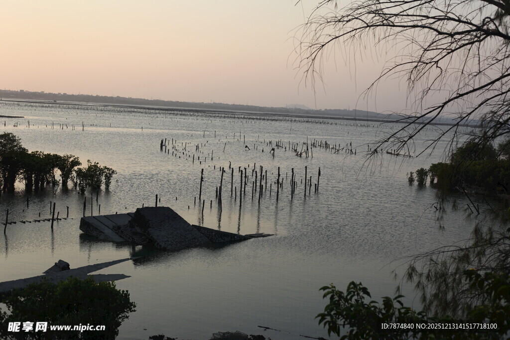 黄昏下的水上独特景观