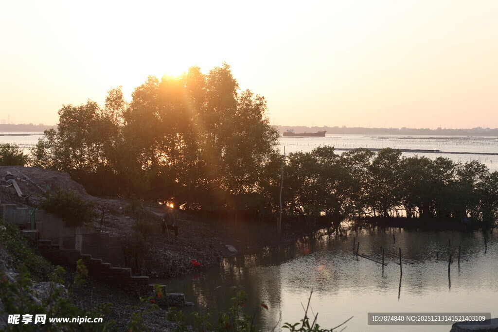 夕阳下的河畔树林美景
