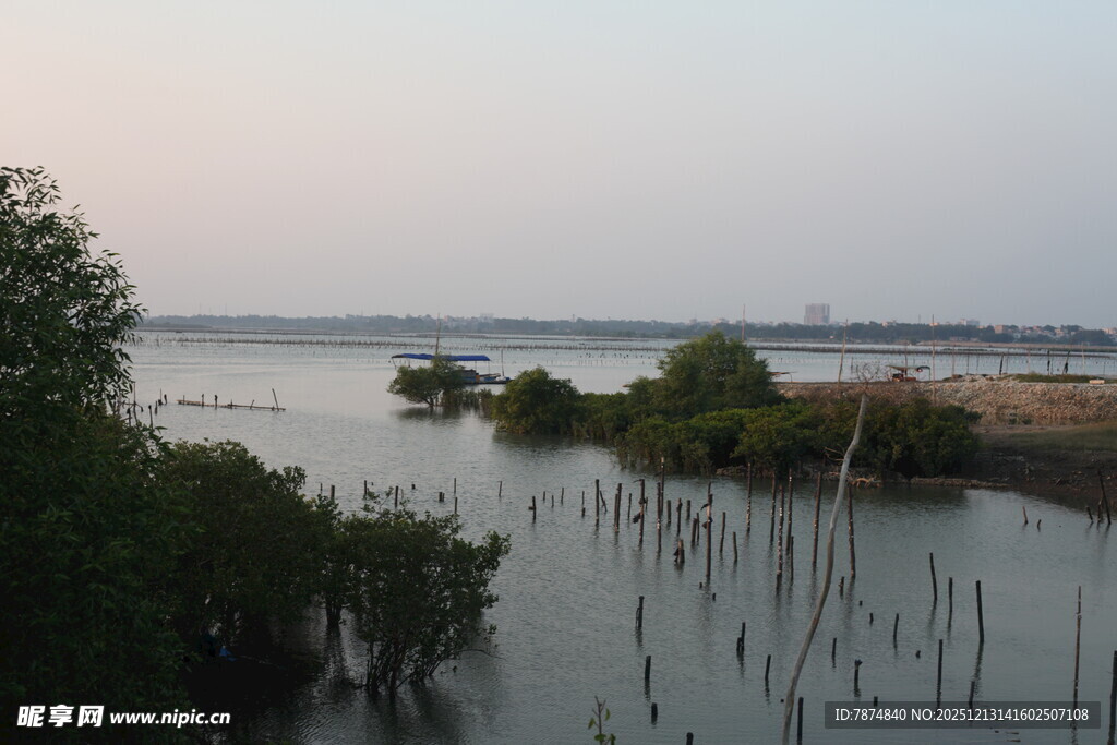 黄昏下的湿地水域景观
