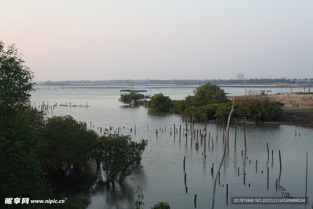 黄昏下的河畔湿地景观
