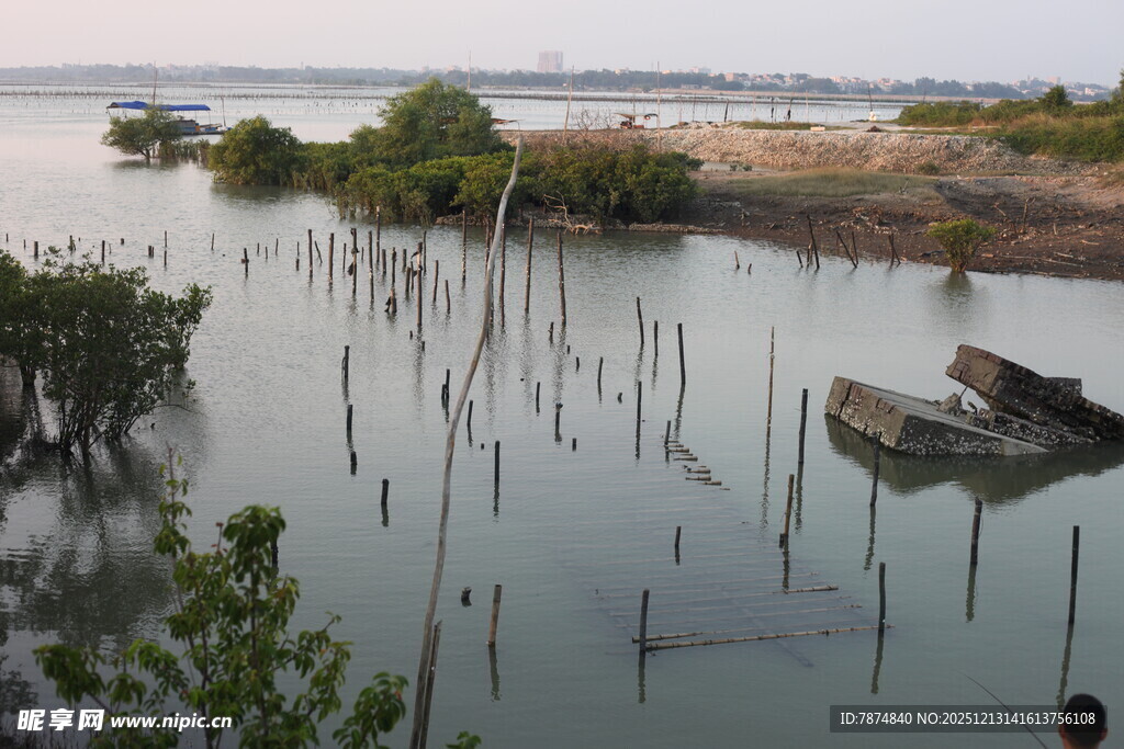 水边枯木与绿植景观
