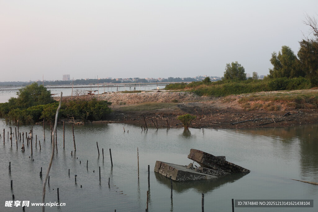 水边残船与林立木桩景象
