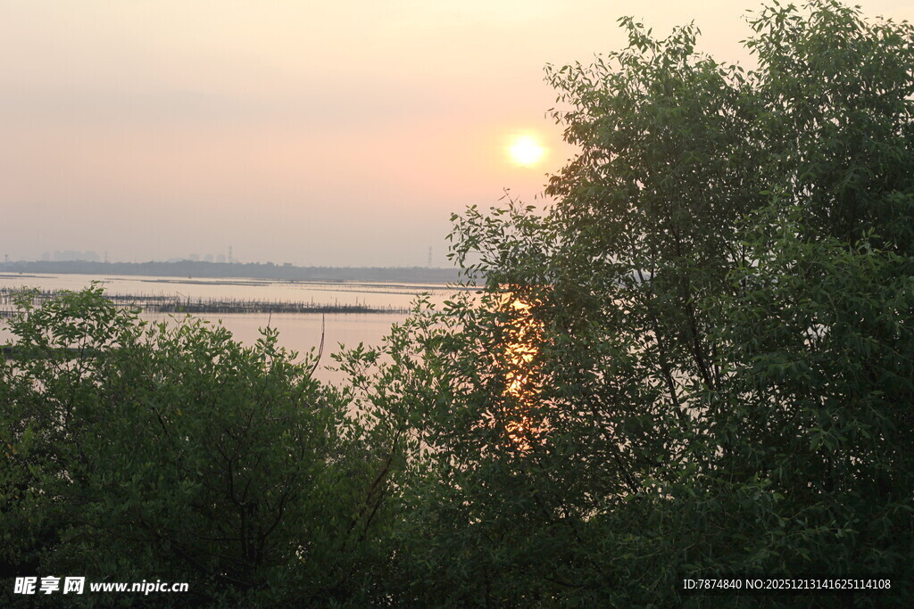 夕阳下的树林与波光湖面