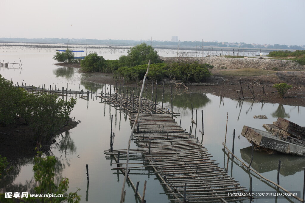 水上木桥与岸边葱郁景致