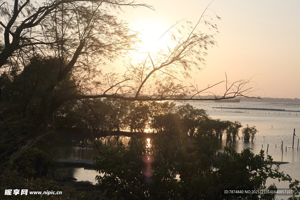 夕阳下的河畔风景
