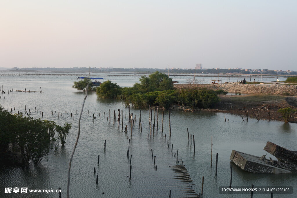 湿地水域中的船只与植被