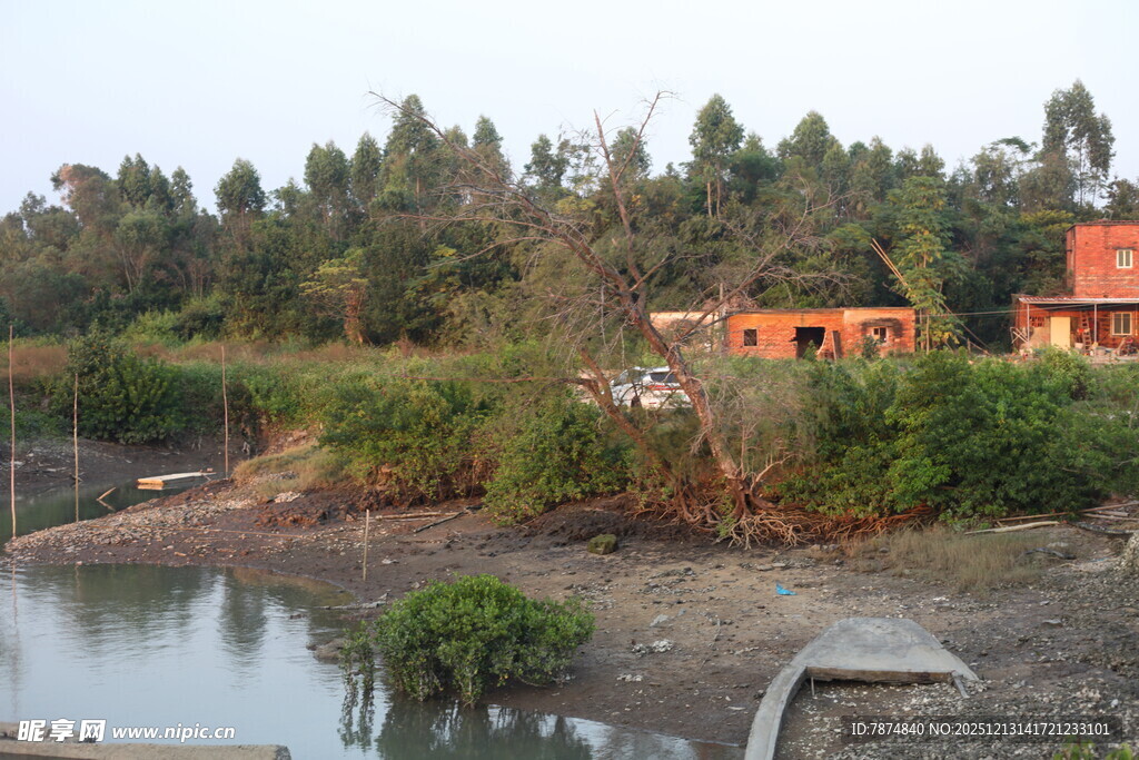 河畔红屋与葱郁树林
