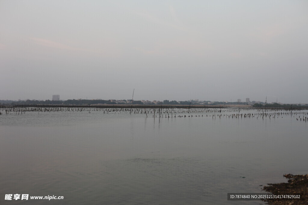 宁静湖面的开阔景致