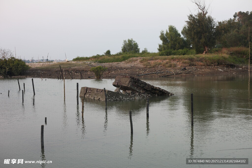水上木桩与废弃船只景观