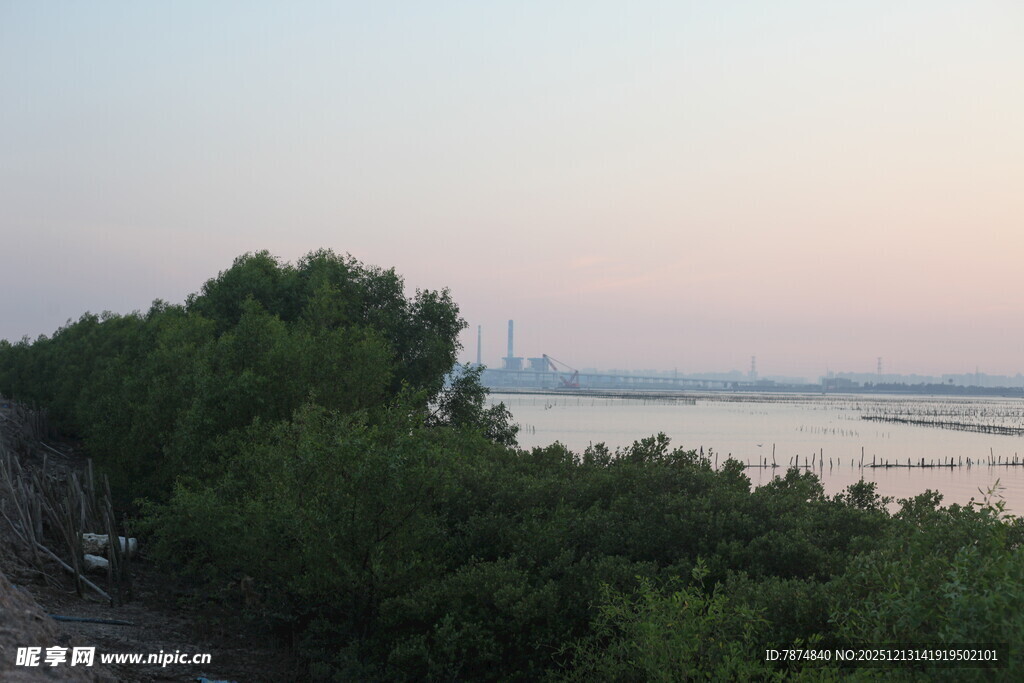 黄昏下的河畔绿树景观