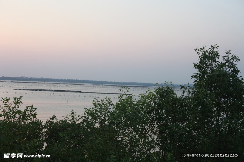 湖畔暮色中的葱郁树木