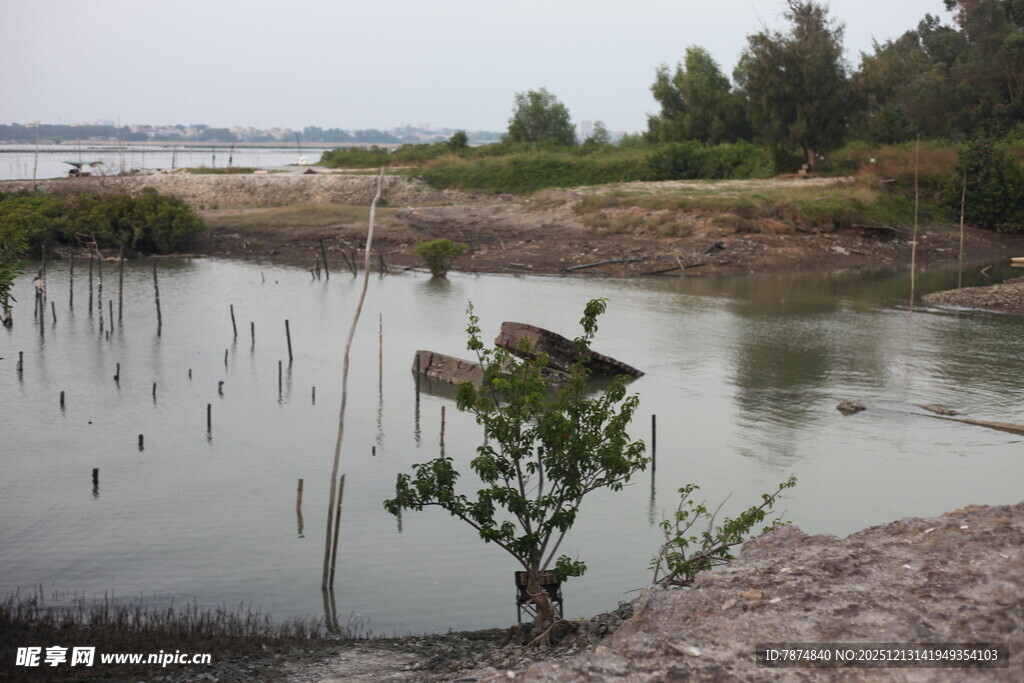 湖畔小船与绿植景致
