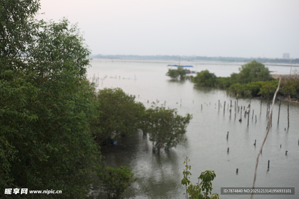 水畔绿树成荫的自然景致