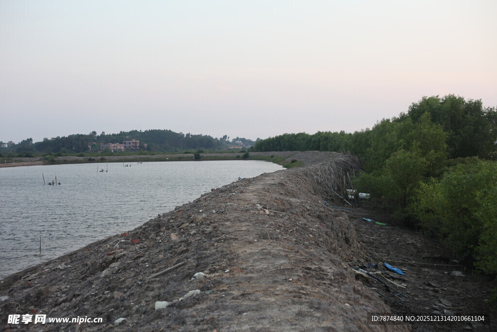 河岸风光岸边植被与水域