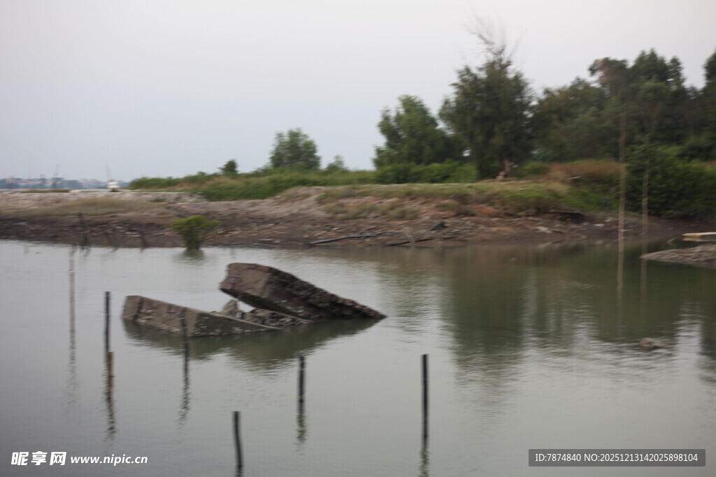 水中倾斜旧船岸边绿植