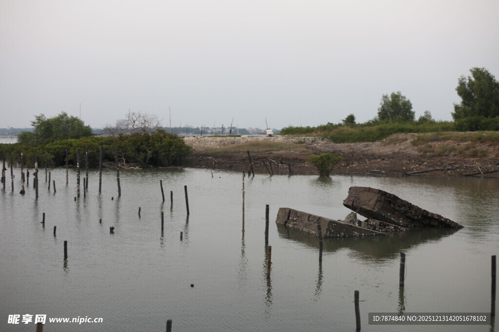 水域中的木桩与废弃船只