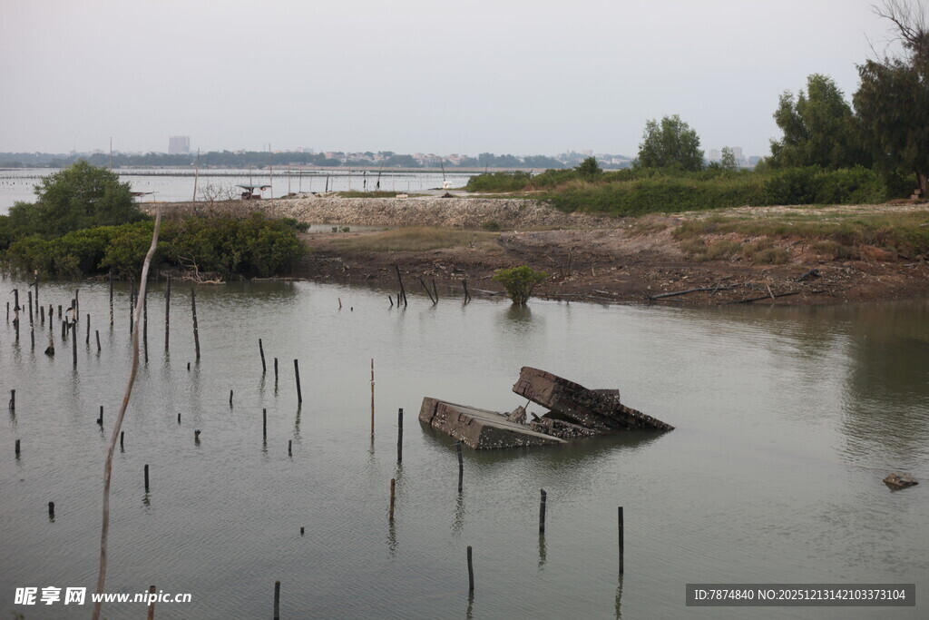 湿地中的残舟与茂盛植被