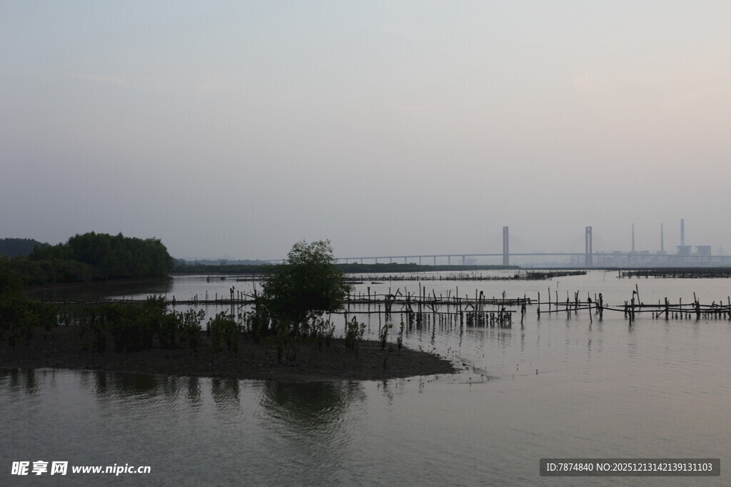 宁静湖畔的水上木桩景观