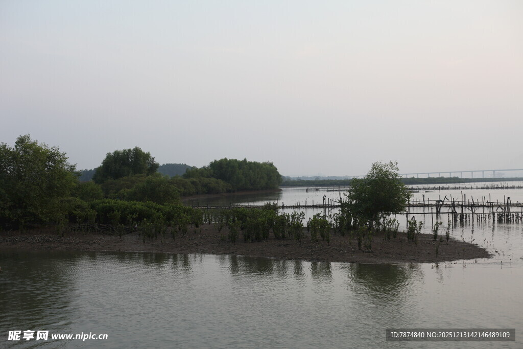 宁静湖畔的自然景致