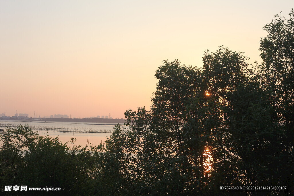 黄昏湖畔树木美景