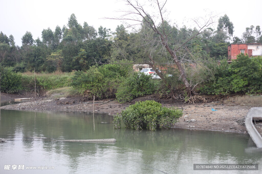 河畔绿植环绕的宁静风光