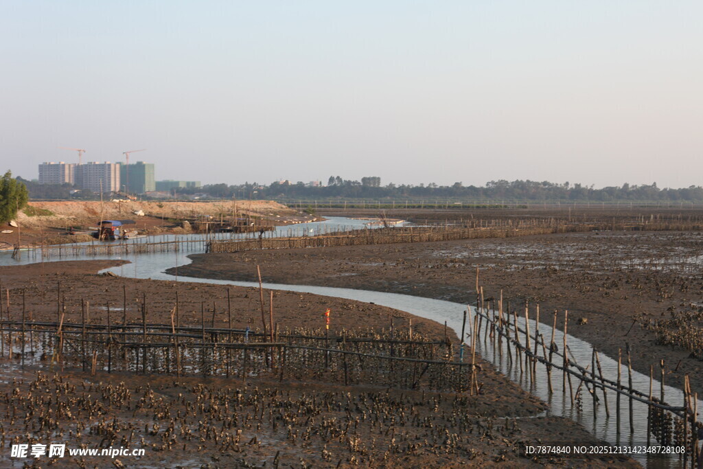 湿地风光中的蜿蜒小路