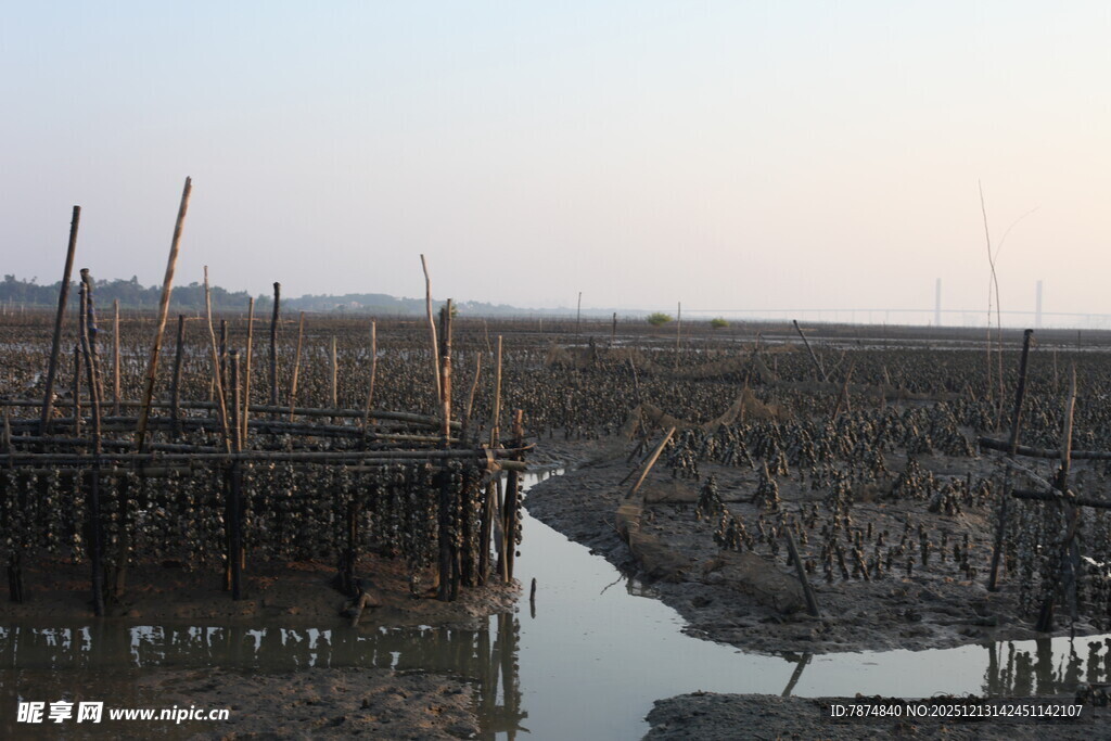 湿地木栈道景观
