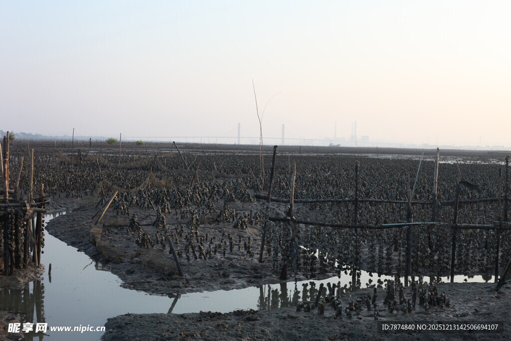 湿地水域中的简易设施
